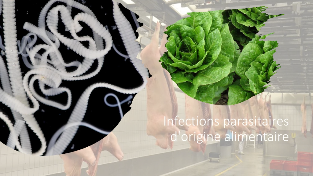 Infections parasitaires d'origine alimentaire