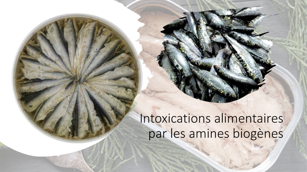 Intoxications alimentaires par les amines biogènes