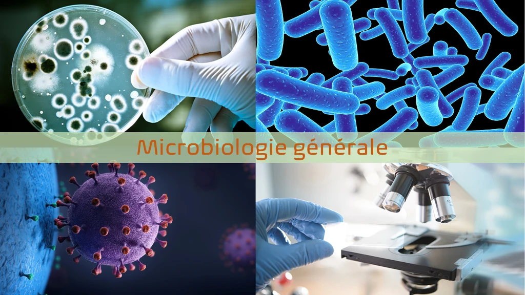 Logo De La Microbiologie Logo Microbiologie Vecteurs T l chargez Logo De La Microbiologie Logo Microbiologie Vecteurs T l chargez