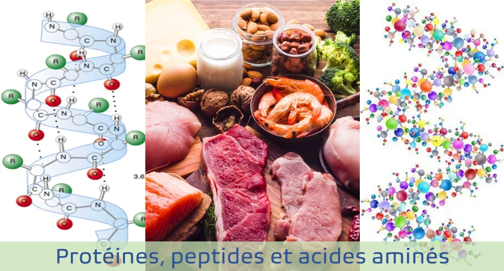 aliments frais ou groupes de protéines alimentaires tels que la