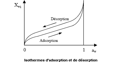 Isothermes d'adsorption et désorption