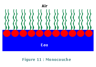 structure simple des lipides