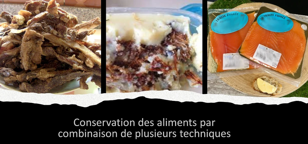 Conservation des aliments par combinaison de plusieurs techniques