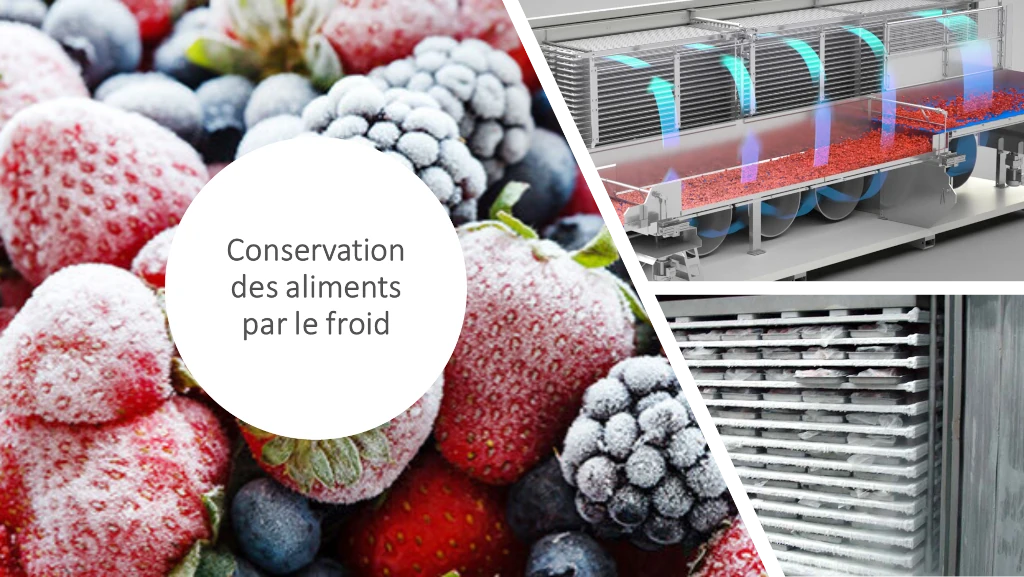 Utilisation du froid pour la conservation des aliments
