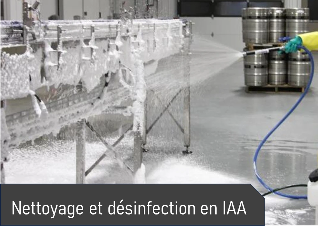 Nettoyage et désinfection en industries agroalimentaires (IAA)