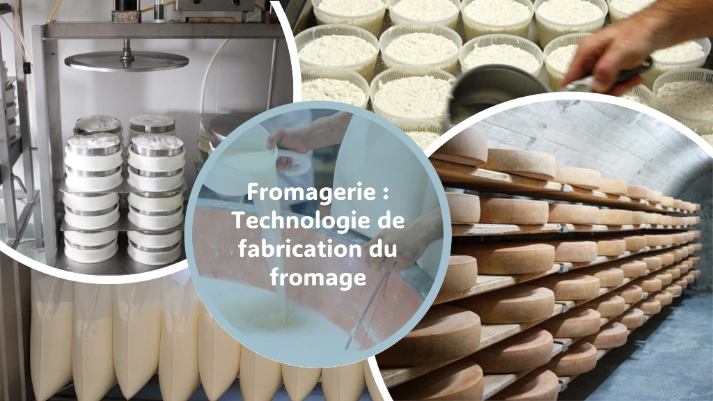 Technologie de fabrication du fromage en fromagerie