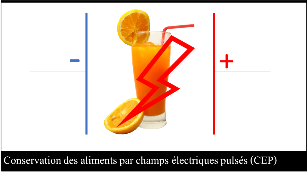 Conservation des aliments par champs électriques pulsés (CEP)