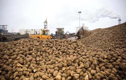 La matière première est une source importante de contamination des aliments par les microorganismes