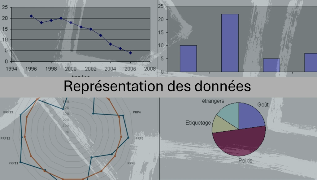 Représentation des données